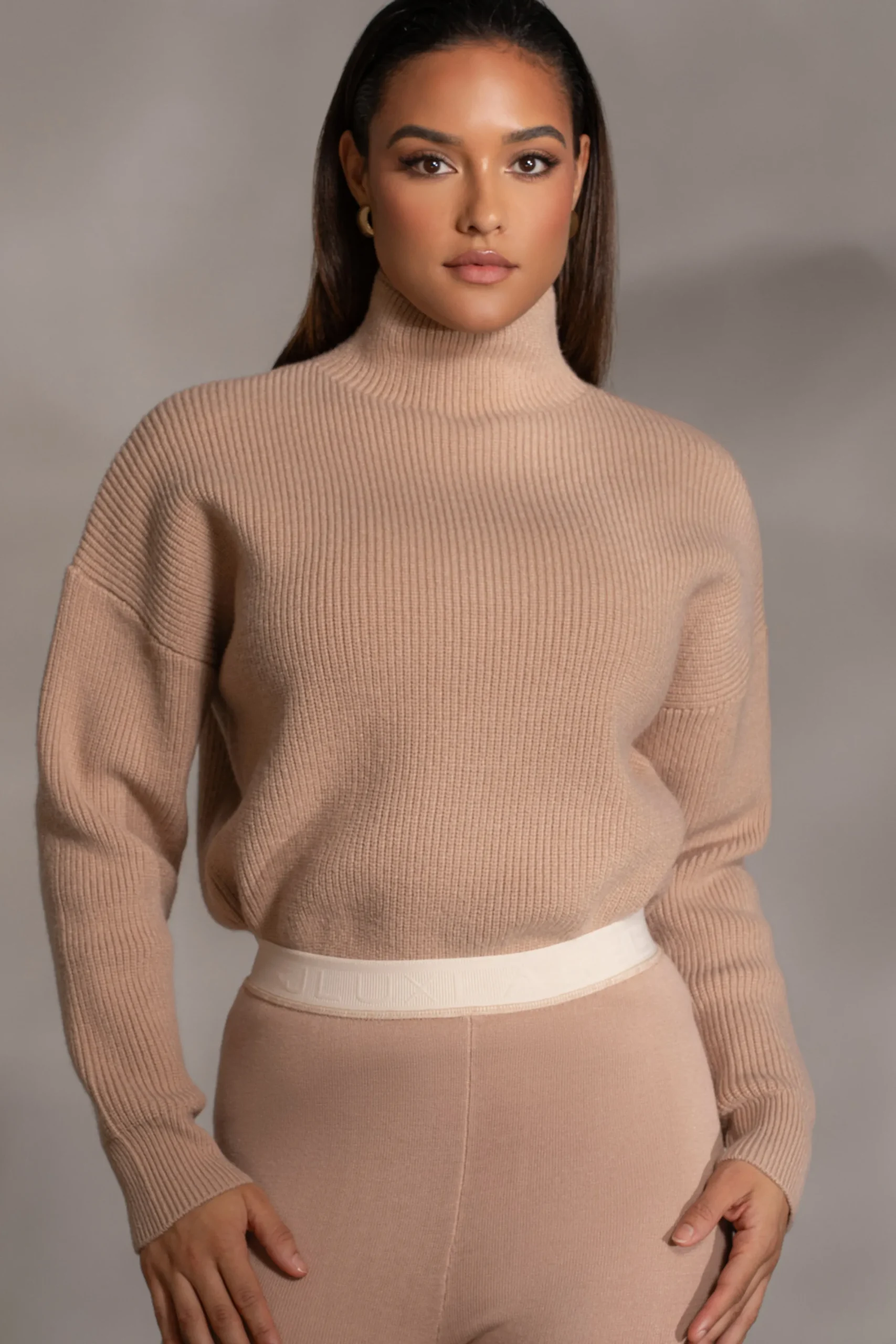 JLUXLABEL Beige Jenni Turtleneck Sweater Top