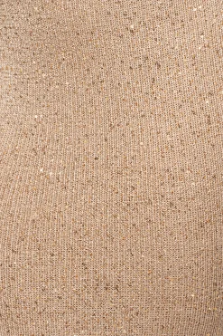 JLUXLABEL Beige Palace Sequin Skirt Set