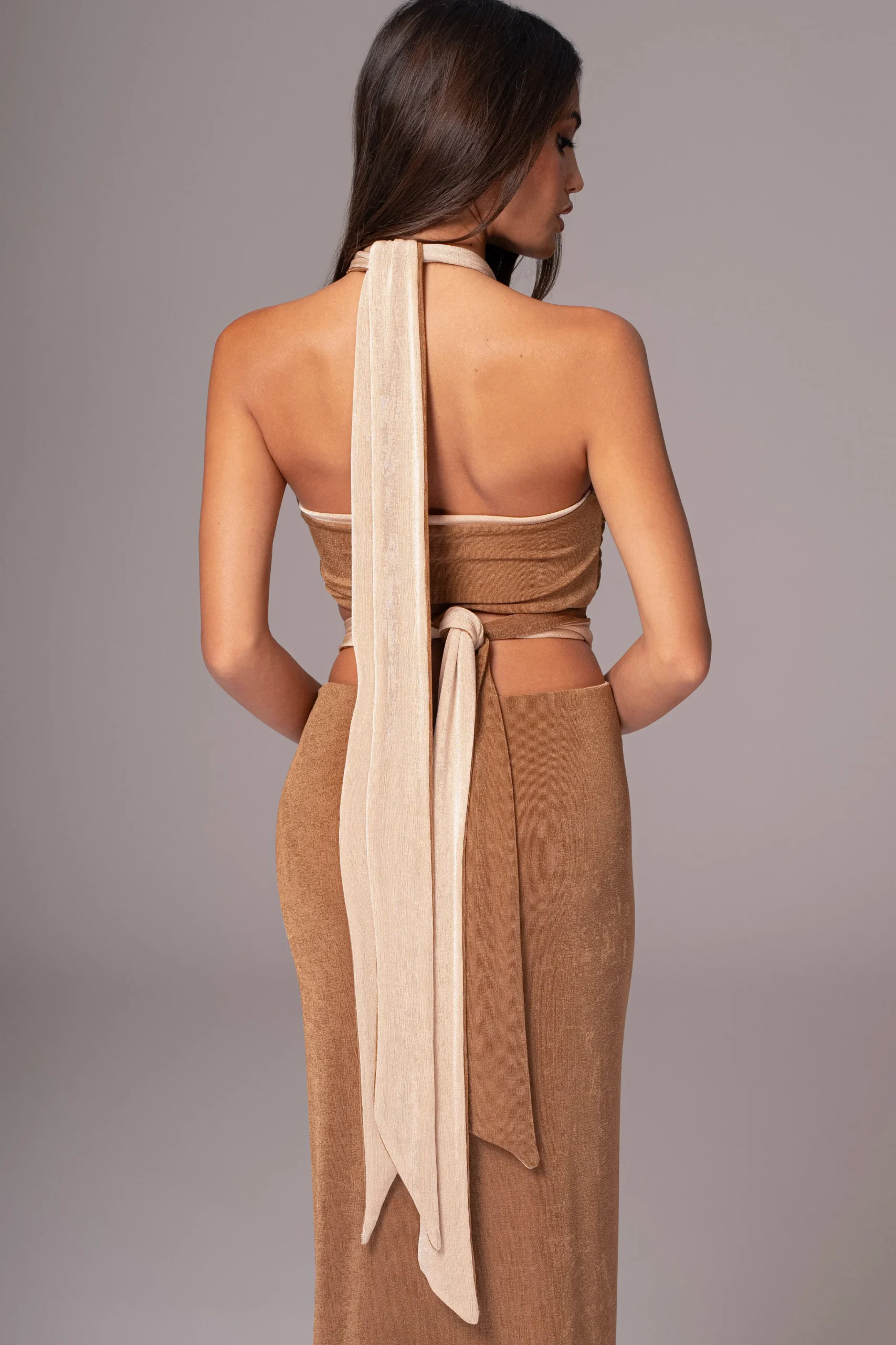 JLUXLABEL Brown/Beige Venus Reversible Skirt Set