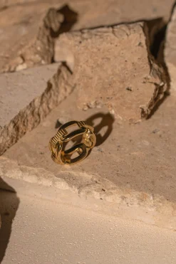 JLUXLABEL Gold Emi Chain Ring
