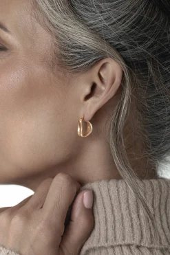 JLUXLABEL Gold Layla Earring Set